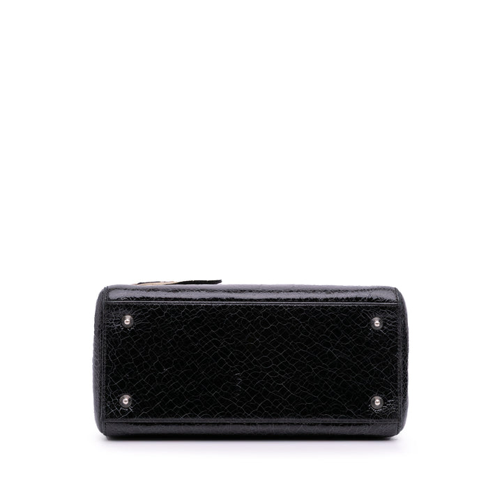 Dior Medium Ceramic Effect Deerskin Jeweled Swan Lady Dior Noir