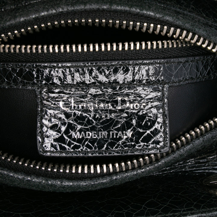 Dior Medium Ceramic Effect Deerskin Jeweled Swan Lady Dior Noir