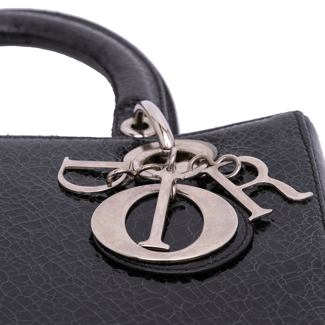 Dior Medium Ceramic Effect Deerskin Jeweled Swan Lady Dior Noir