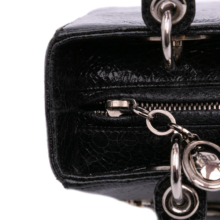 Dior Medium Ceramic Effect Deerskin Jeweled Swan Lady Dior Noir