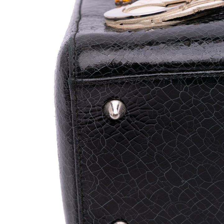 Dior Medium Ceramic Effect Deerskin Jeweled Swan Lady Dior Noir