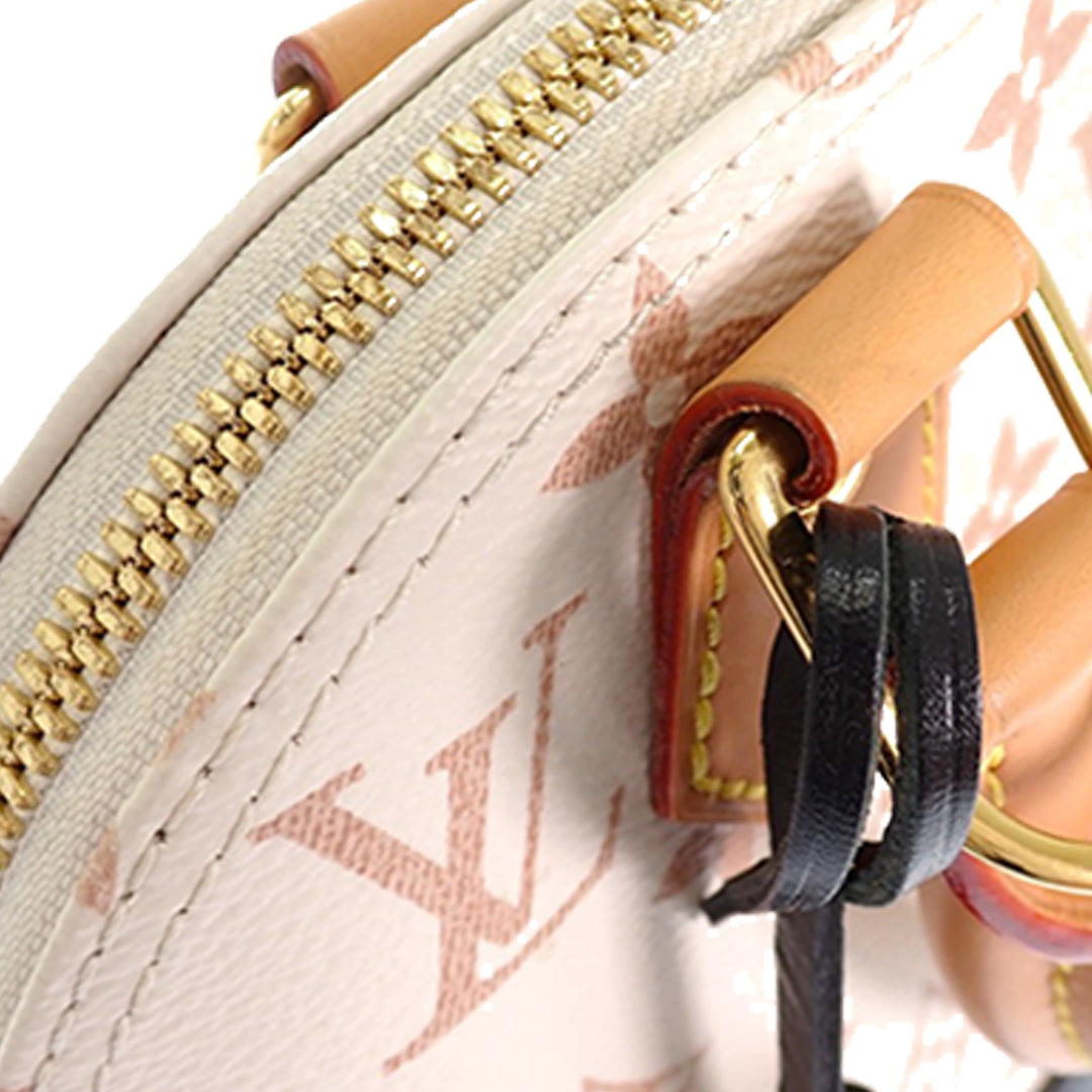 Louis Vuitton Dune Alma BB Monogram Marron