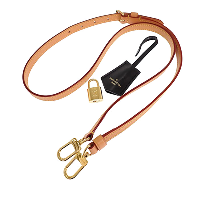 Louis Vuitton Dune Alma BB Monogram Marron