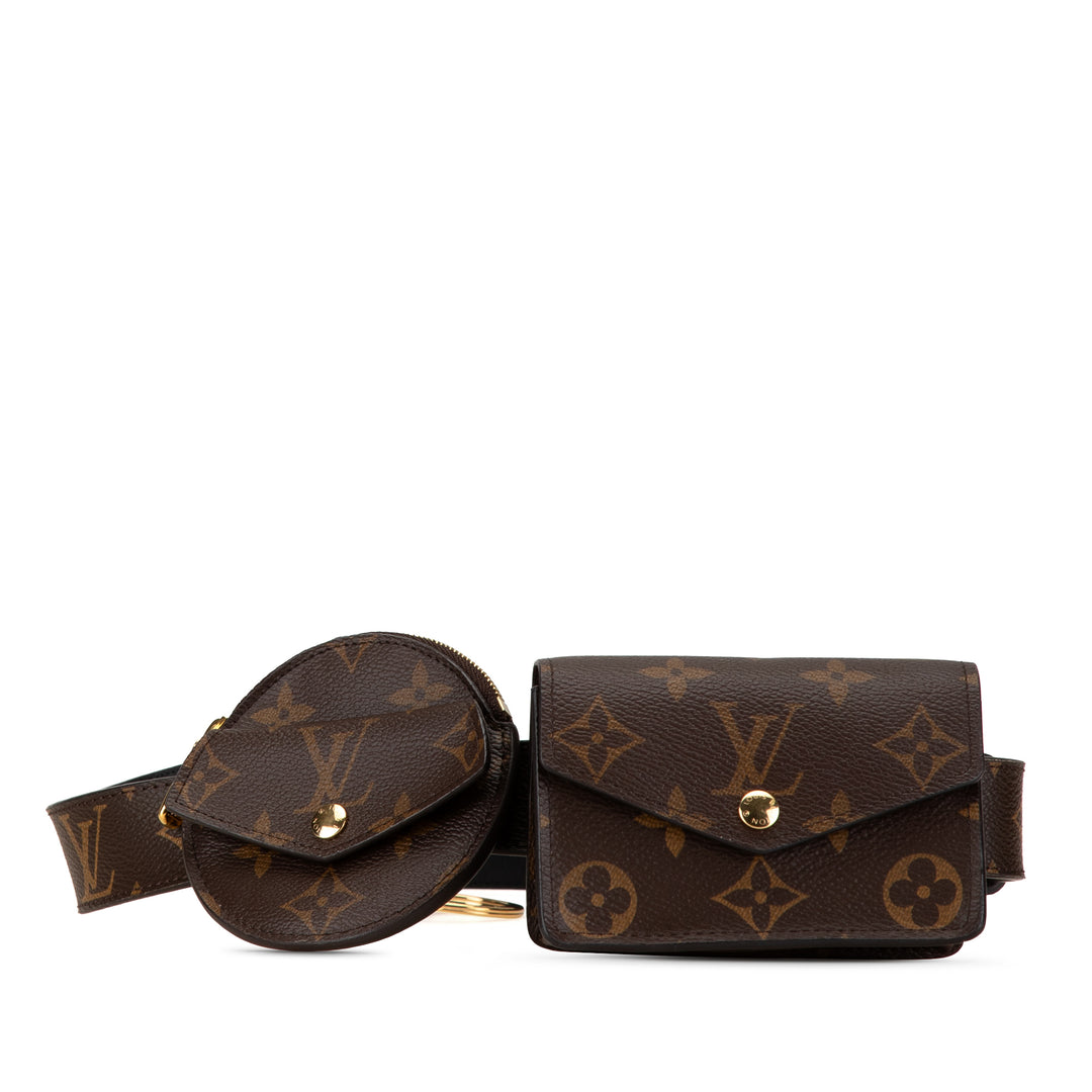 Louis Vuitton Monogram Daily Multi Pocket Brown - GABY PARIS