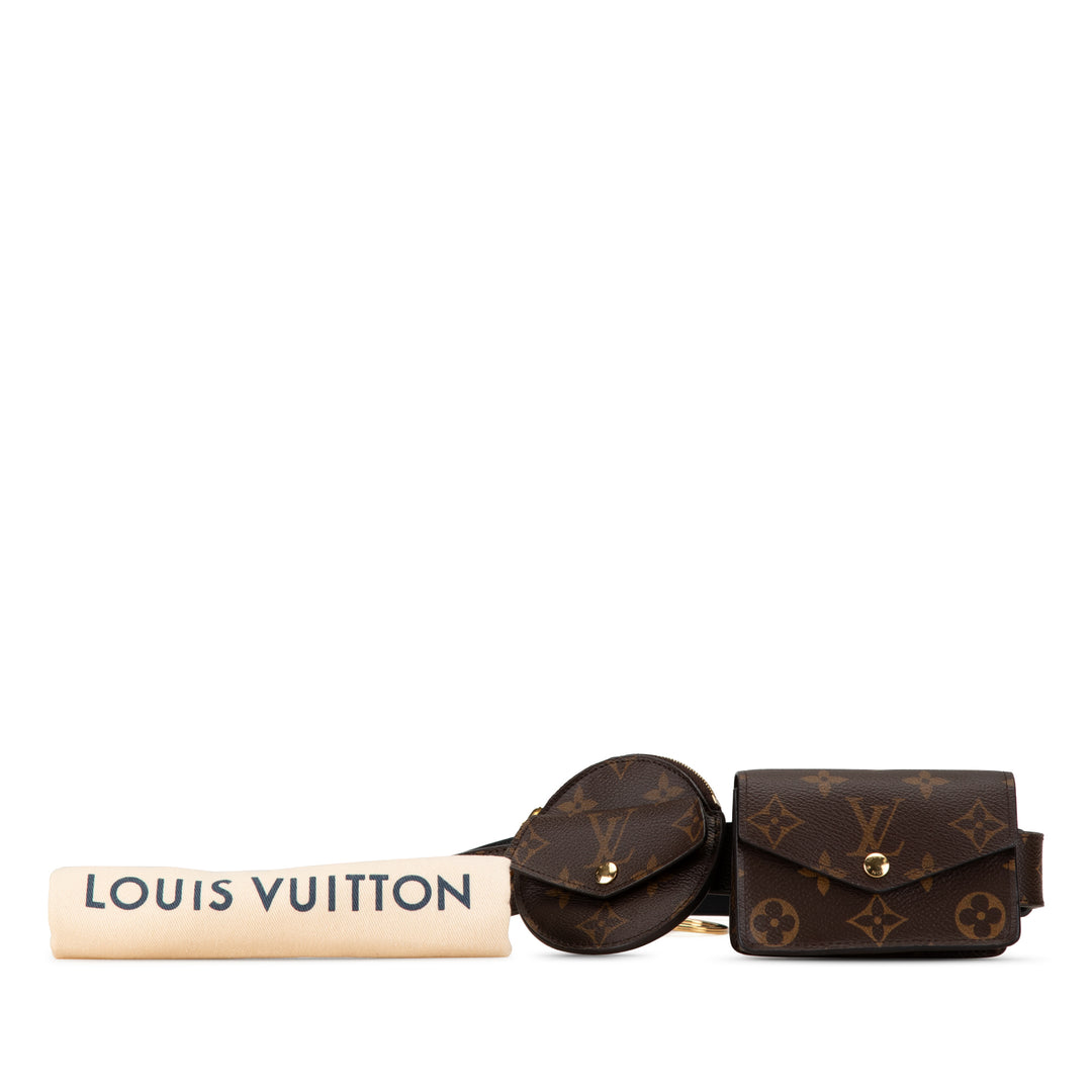 Louis Vuitton Monogram Daily Multi Pocket Brown - GABY PARIS