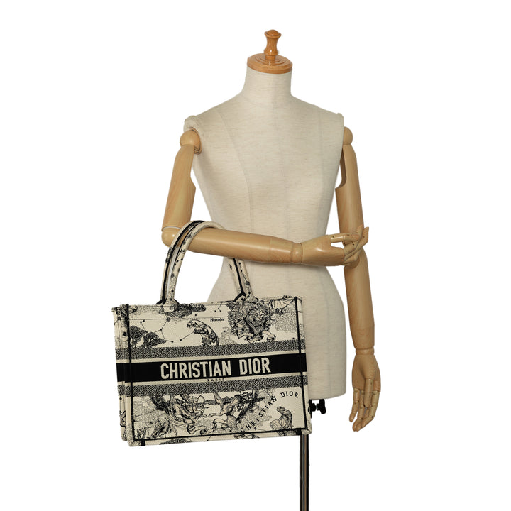 Dior Small Zodiac Book Tote White - GABY PARIS