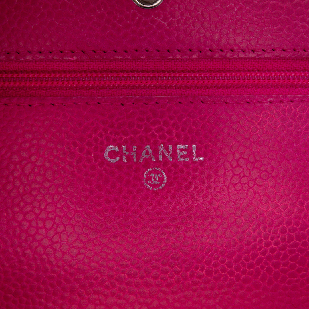 Classic Caviar Wallet On Chain Pink - Gaby Paris