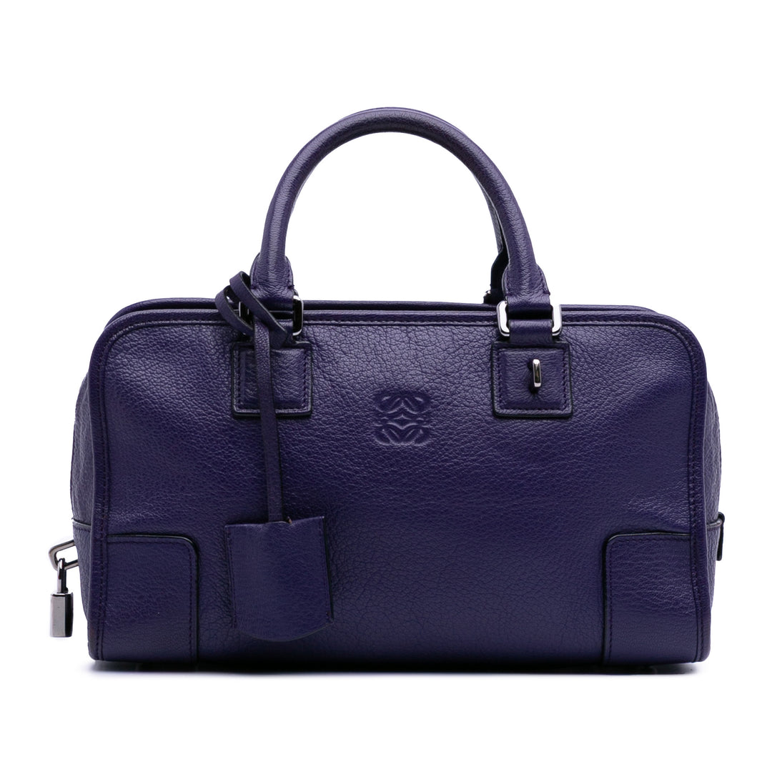 Soft Grained Calfskin Amazona 28 Purple - Gaby Paris