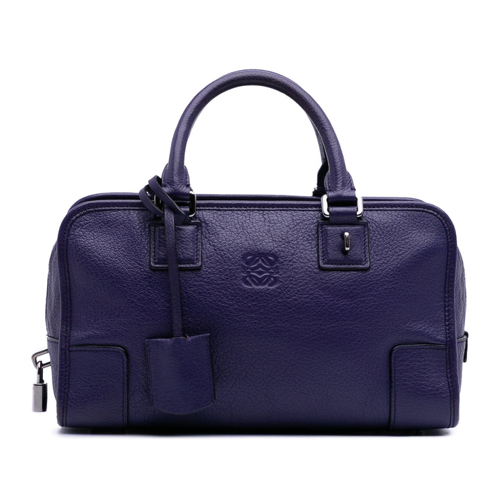 Soft Grained Calfskin Amazona 28 Purple - Gaby Paris