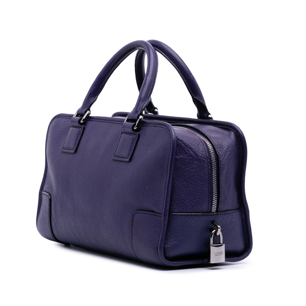 Soft Grained Calfskin Amazona 28 Purple - Gaby Paris