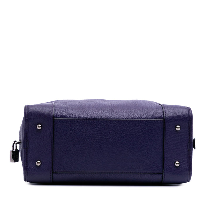 Soft Grained Calfskin Amazona 28 Purple - Gaby Paris
