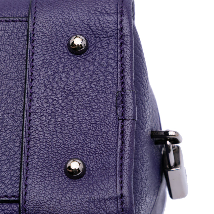 Soft Grained Calfskin Amazona 28 Purple - Gaby Paris