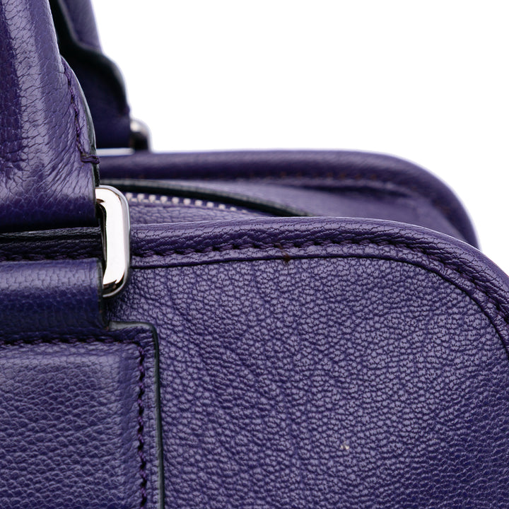 Soft Grained Calfskin Amazona 28 Purple - Gaby Paris