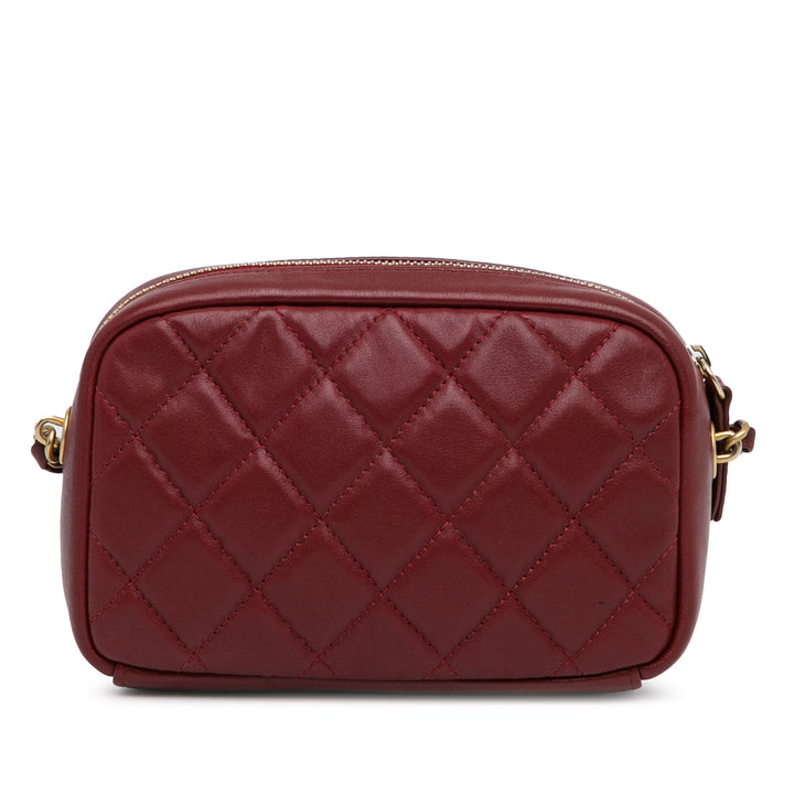 Small Quilted Lambskin Buckle Camera Bag Red - Gaby Paris