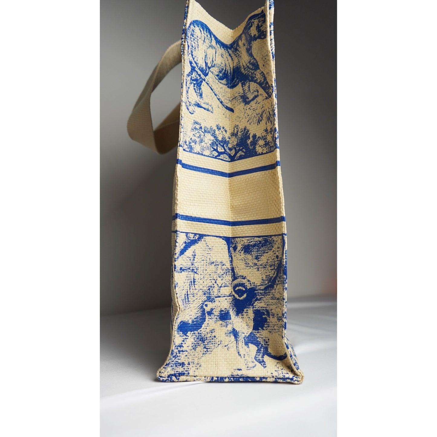 DIOR Dioriviera straw tote bag with toile de Jouy print
