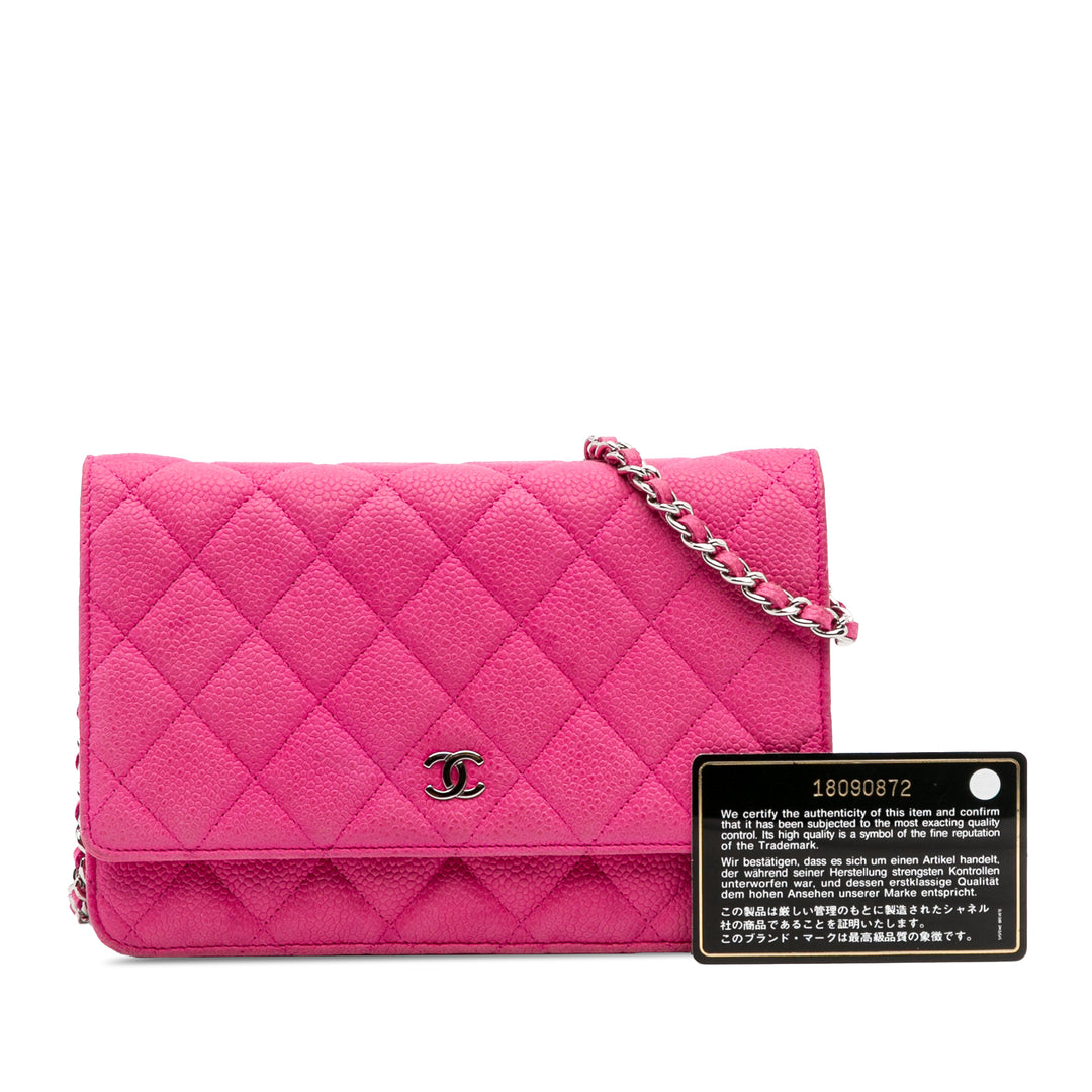 CC Caviar Wallet on Chain Pink - Gaby Paris