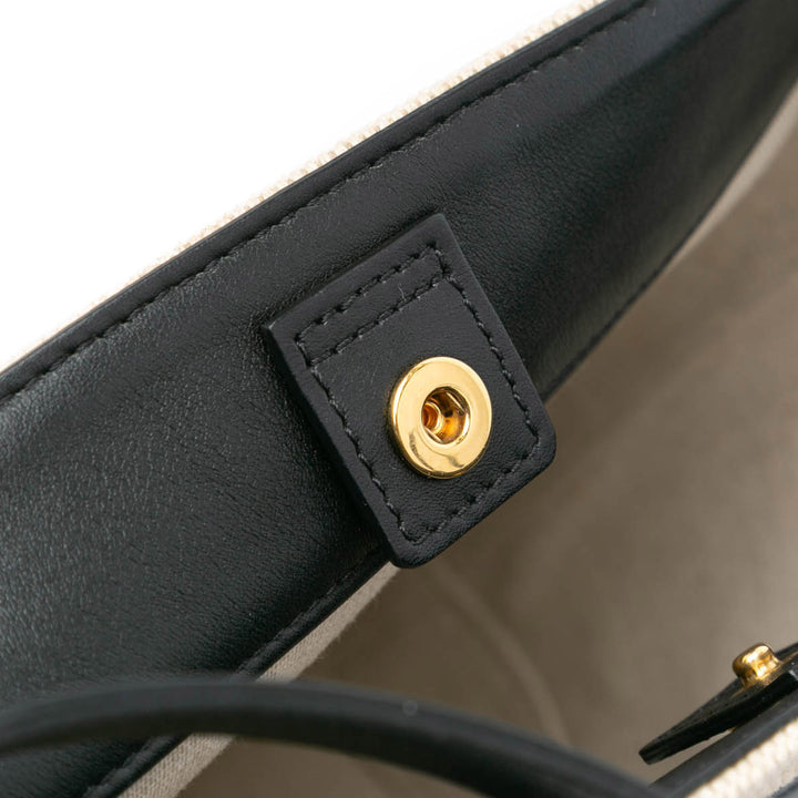 Small Canvas Triomphe Bucket Bag Brown - Gaby Paris