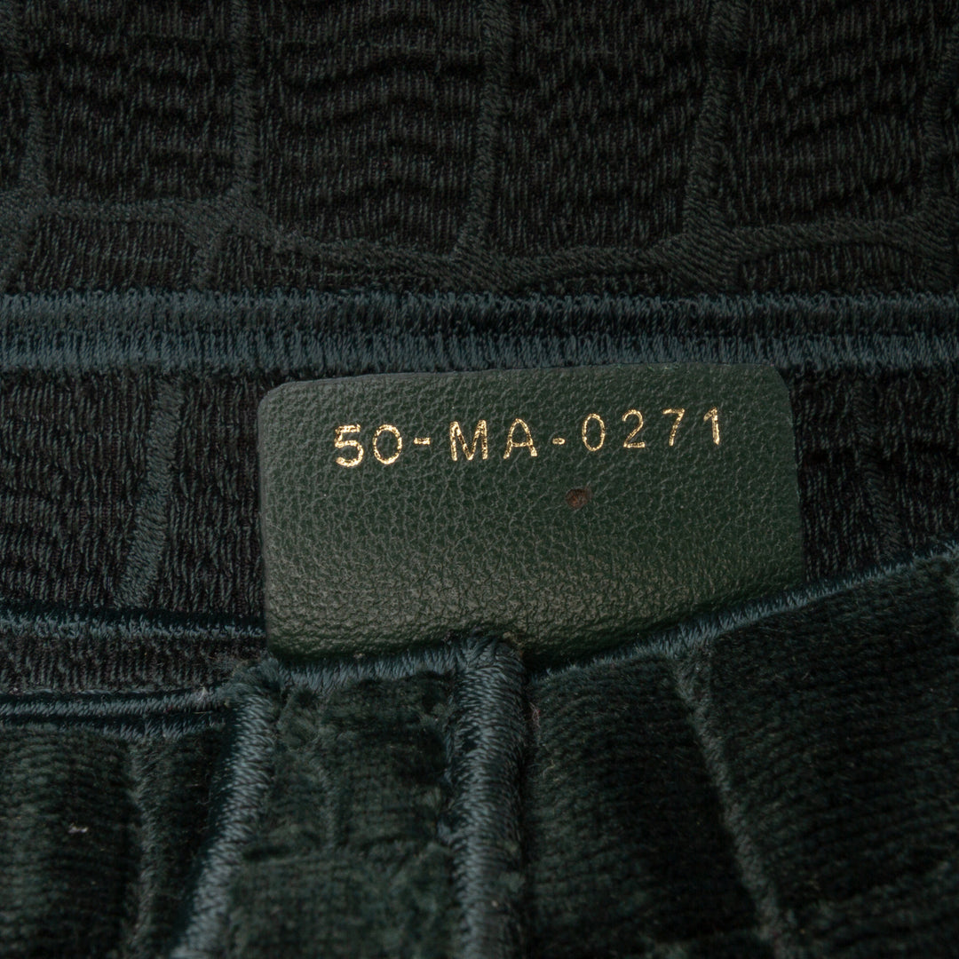 Dior Velours brodé Crocodile Effect Saddle Sac