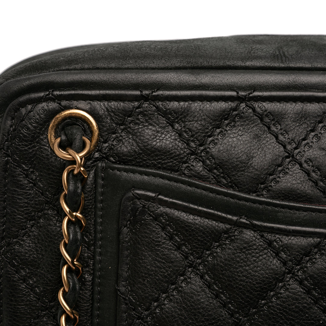 Chanel CC Iridescent Cuir d’agneau et Matelassé Cuir de veau Chain Sac bandoulière