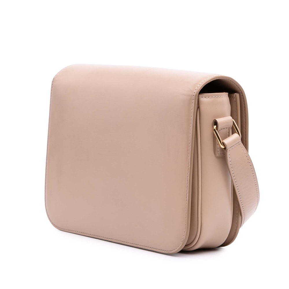 Celine Classique Shiny Cuir de veau Triomphe Crossbody Marron – GABY PARIS Authentique