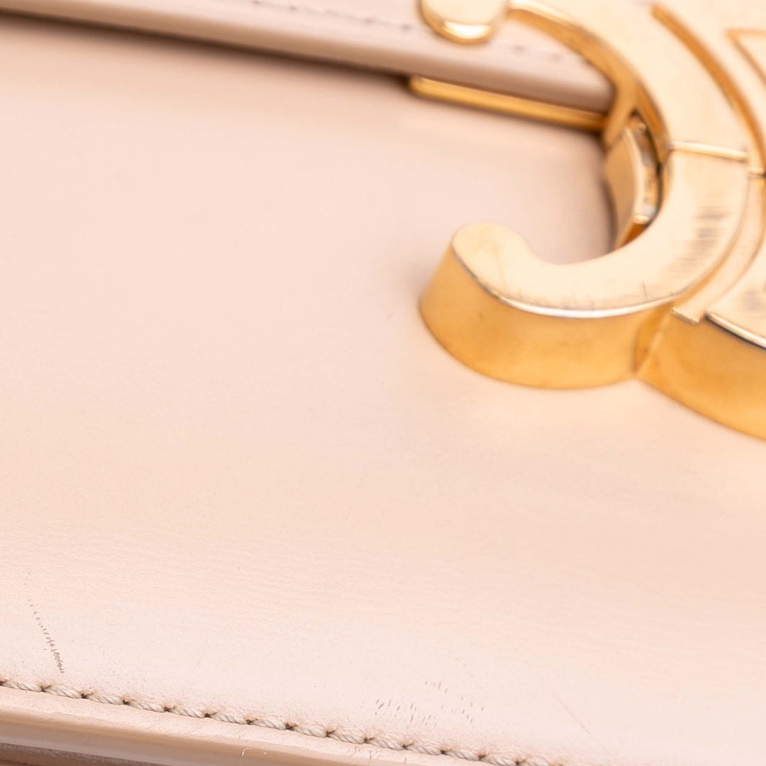 Celine Classique Shiny Cuir de veau Triomphe Crossbody Marron – GABY PARIS Authentique