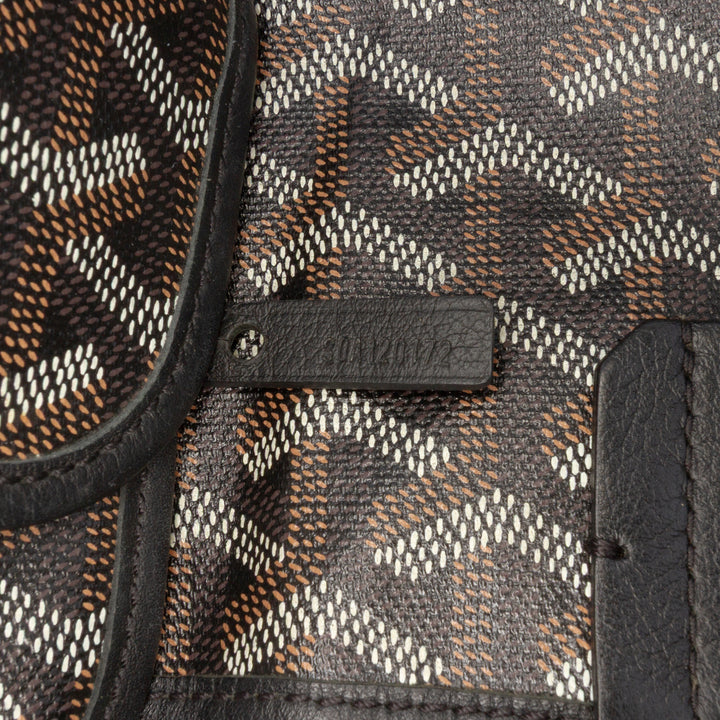 Goyard Goyardine Saint Louis PM