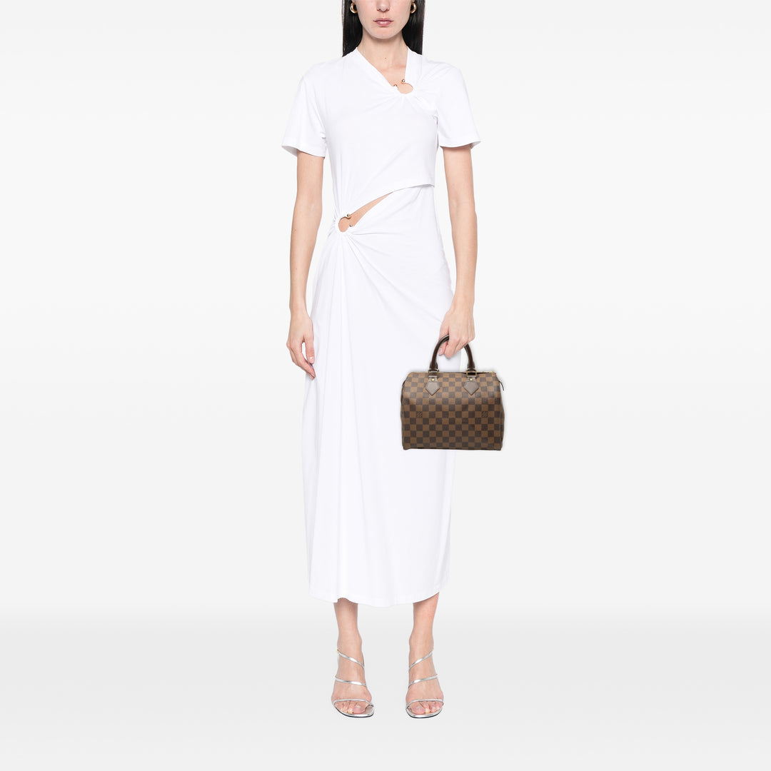 Louis Vuitton Speedy 25 Toile Damier Ébène