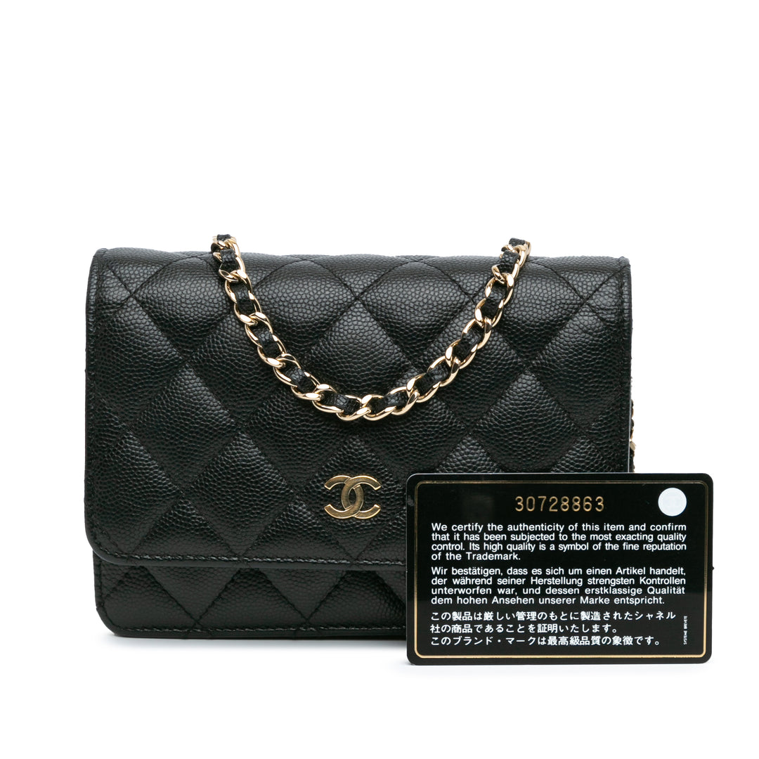 Mini Quilted Caviar Wallet On Chain Black - Gaby Paris