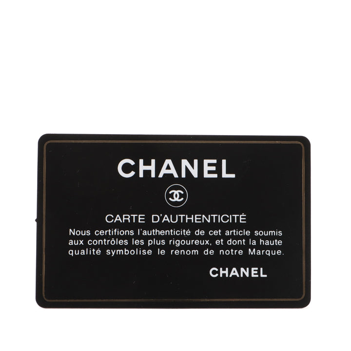 Chanel Mini Cuir d’agneau Vanity Étui with Chain Noir – GABY PARIS Authentique