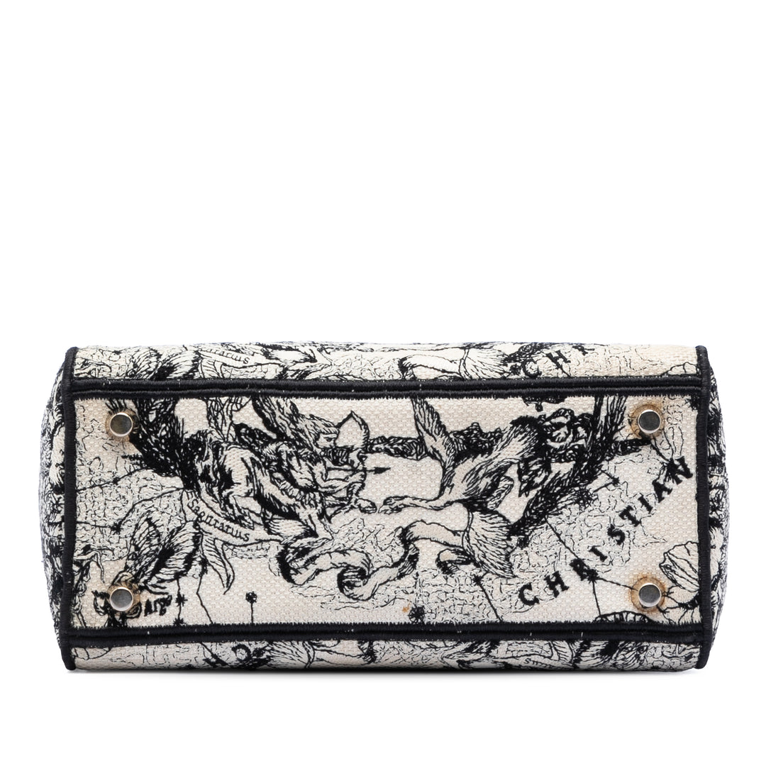 Dior Medium brodé Toile Zodiac Lady D Lite