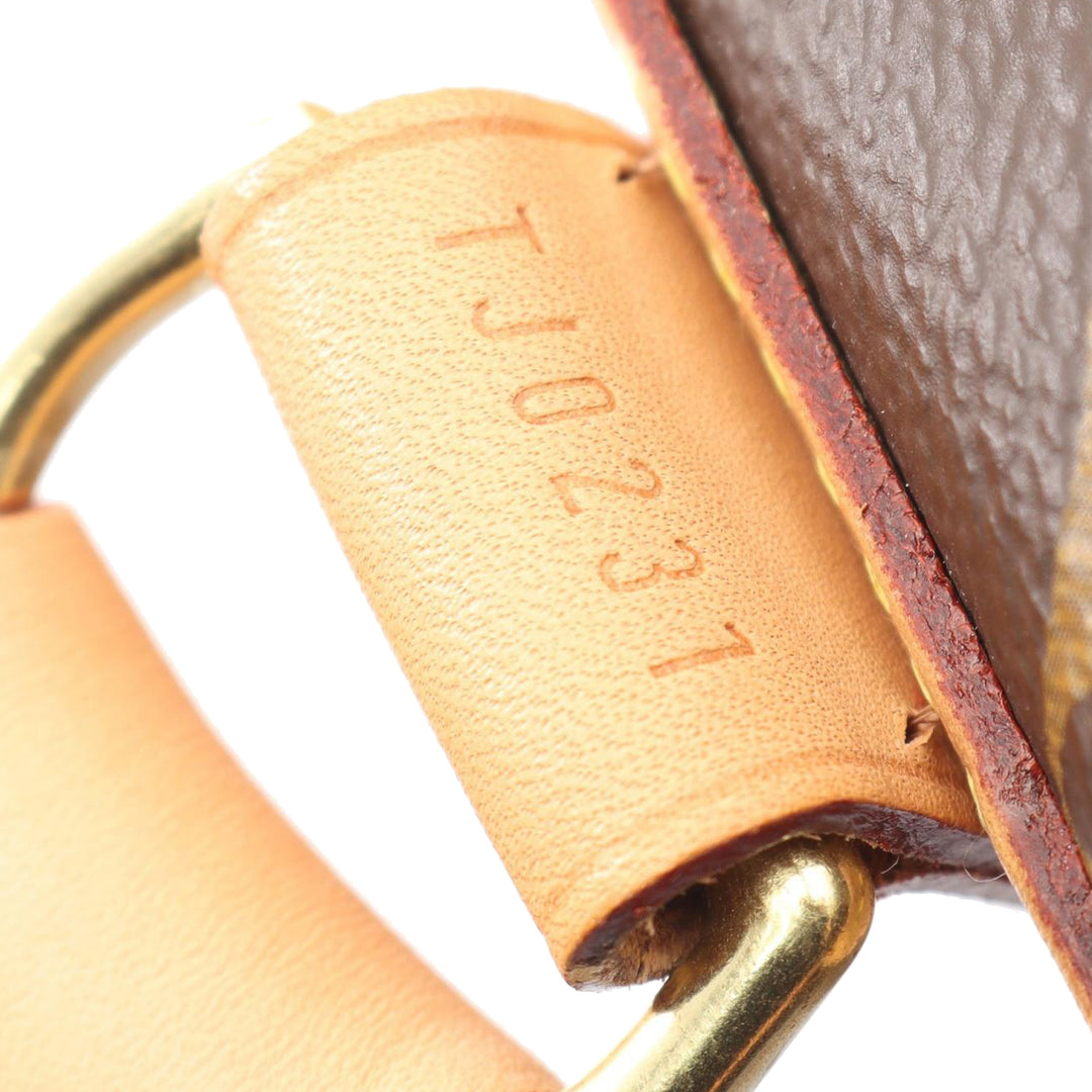 Louis Vuitton Monogram Sac Chien Pet Carrier 50