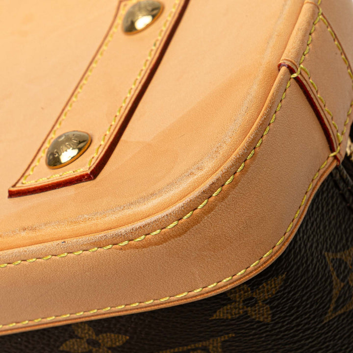 Louis Vuitton Monogram Alma BB Marron