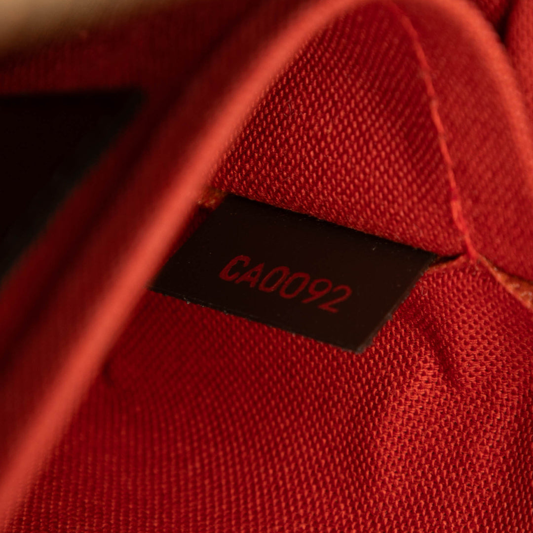 Louis Vuitton Damier Ebene Ribera MM