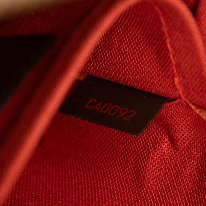 Louis Vuitton Damier Ebene Ribera MM