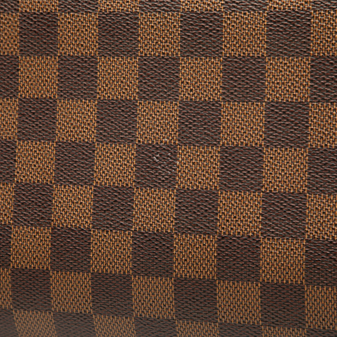 Louis Vuitton Damier Ebene Ribera MM