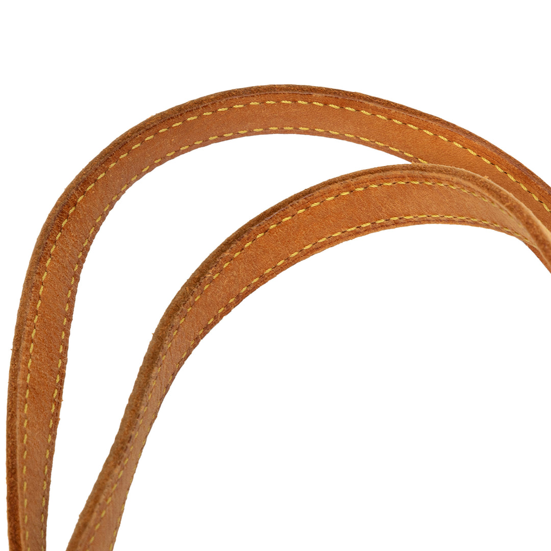 Louis Vuitton Monogram Cite MM