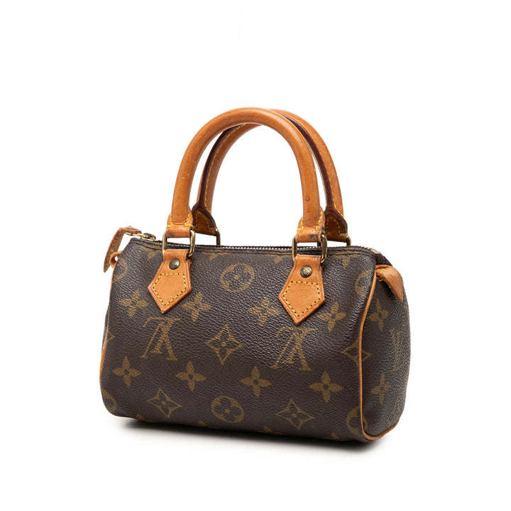 Speedy Bandouliere Nano Monogram Marron