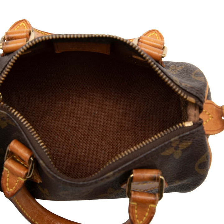 Speedy Bandouliere Nano Monogram Marron