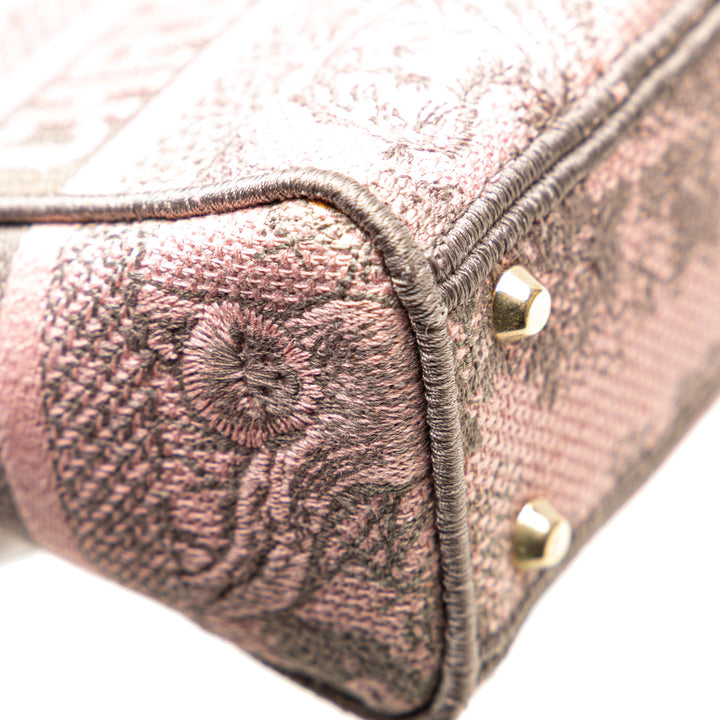 Dior Mini Embroidered Toile Toile De Jouy Lady D Lite Rose