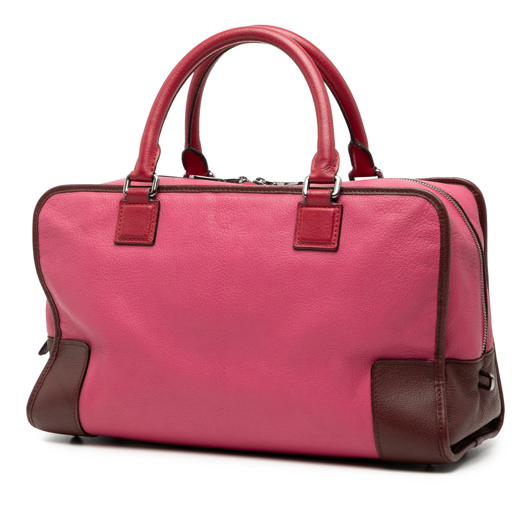 LOEWE Tricolore Amazona 36 Cuir de chèvre