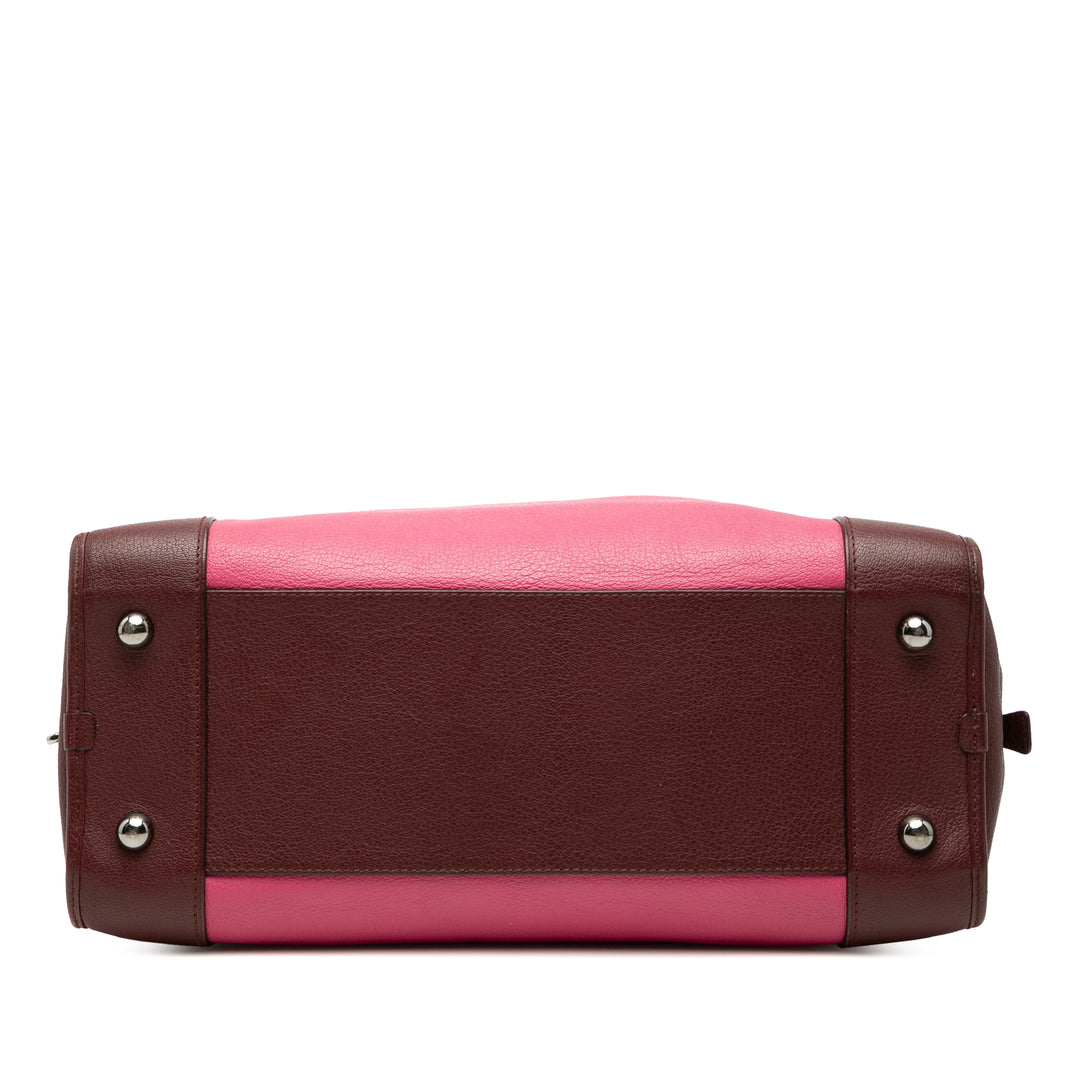 LOEWE Tricolore Amazona 36 Cuir de chèvre