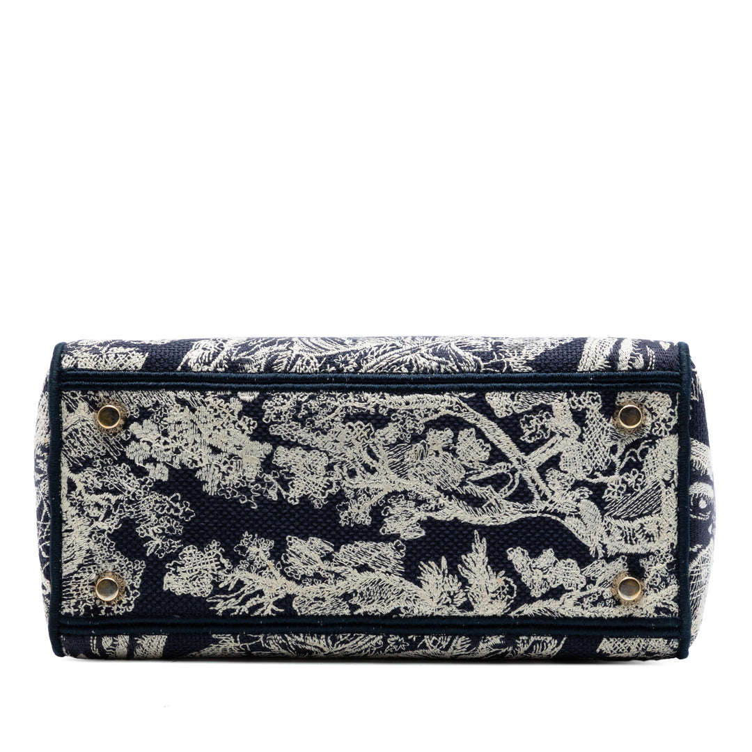 Dior Medium brodé Toile Toile de Jouy Lady D Lite