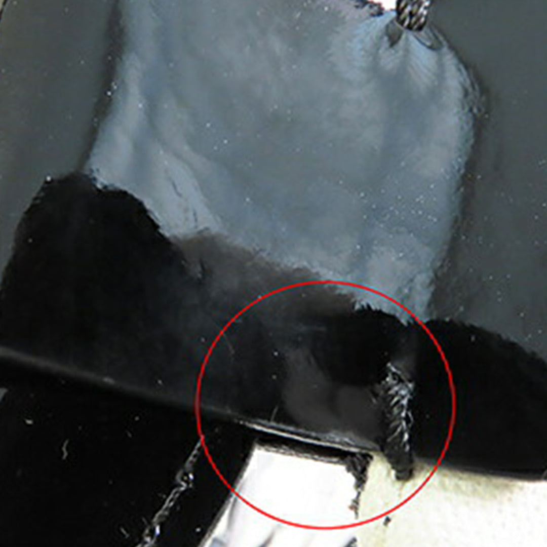 Chanel Printed Toile Coco Airline Sac à main