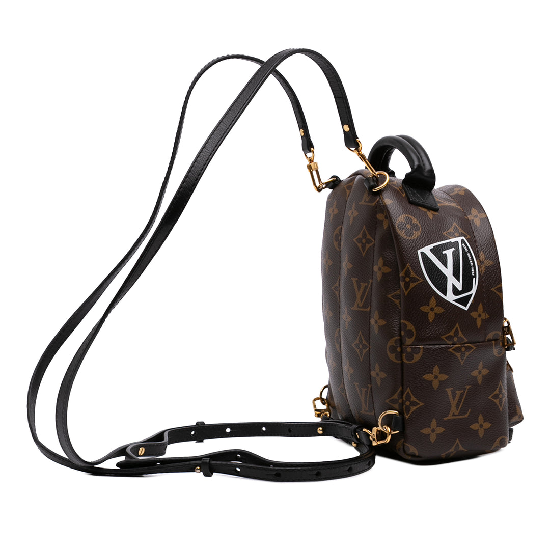 World Tour Palm Springs Mini Monogram Marron