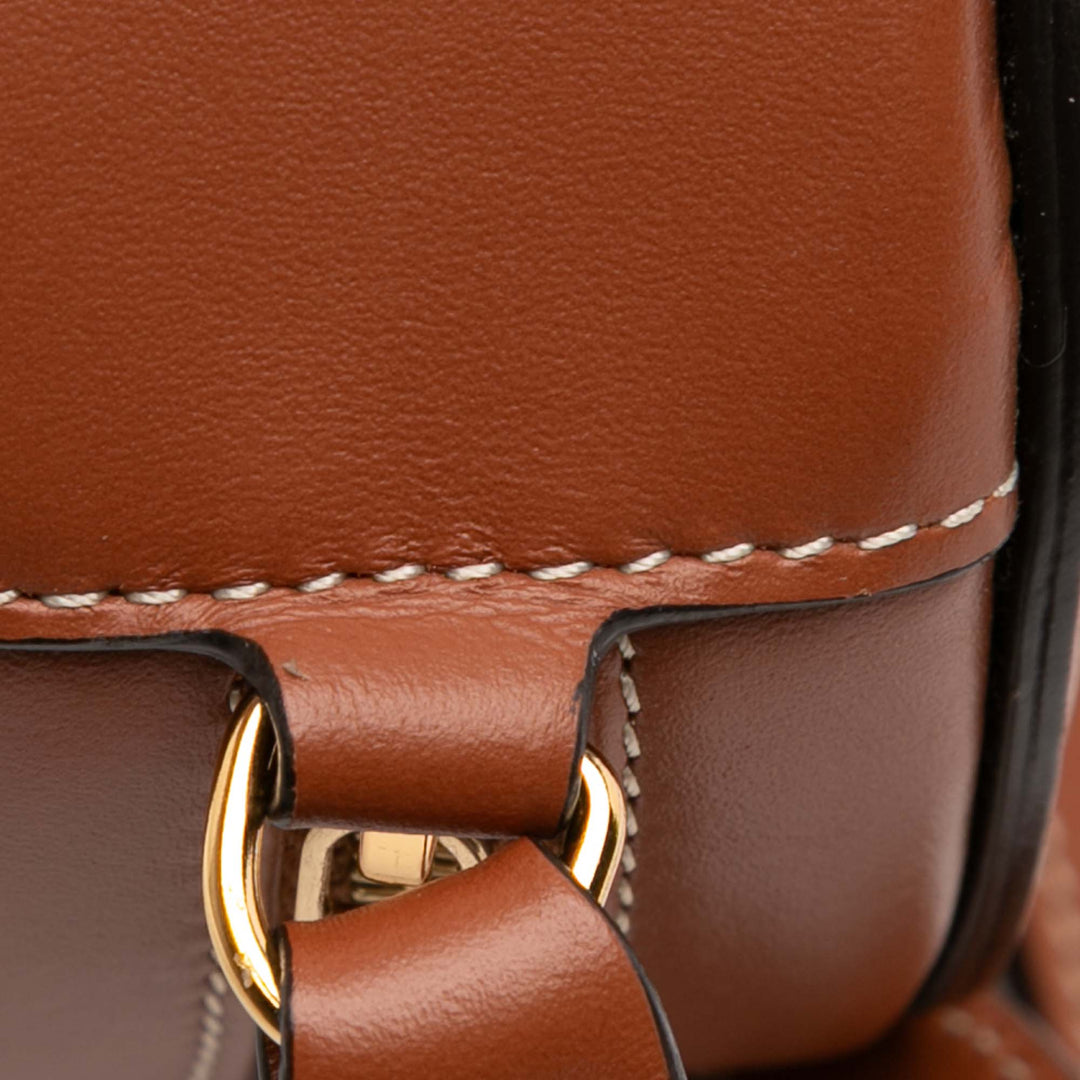 Celine Small Cuir de veau Cuir Triomphe Oval Sac porté croisé
