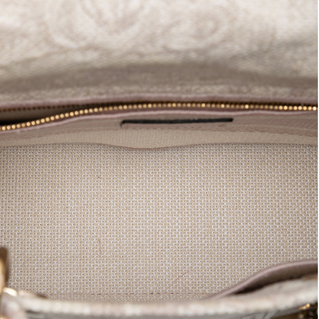 Dior Medium brodé Toile Toile De Jouy Lady D Lite