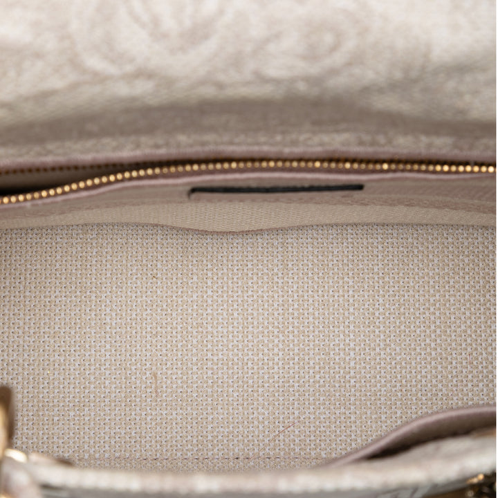 Dior Medium brodé Toile Toile De Jouy Lady D Lite