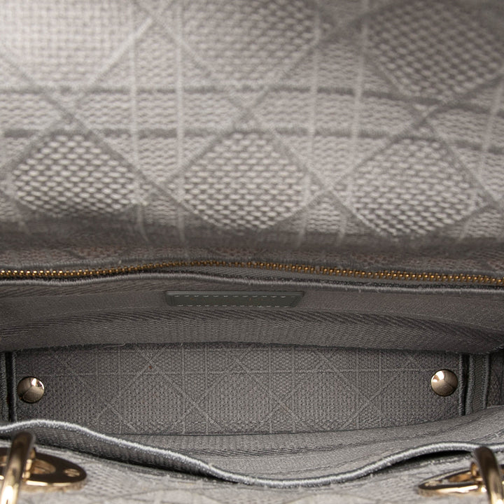 Dior Medium Toile Cannage Lady D Lite