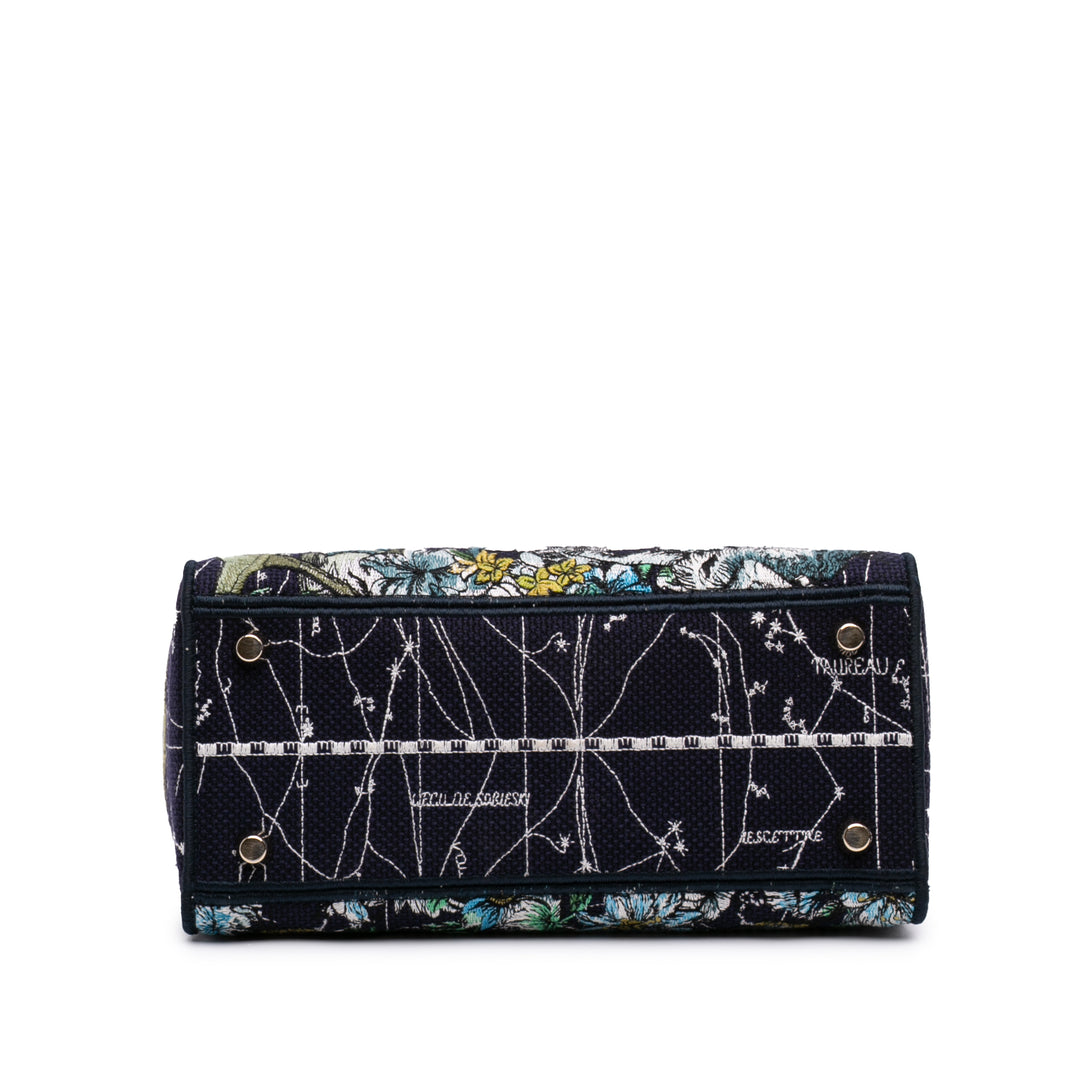 Dior Medium brodé Toile Zodiac Lady D Lite