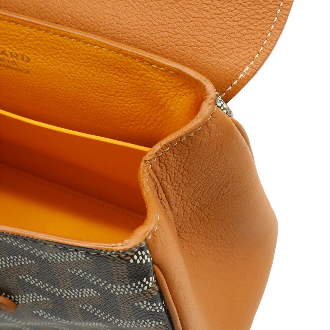 Goyard Mini Goyardine Saigon Souple